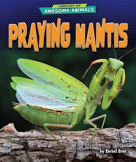 Praying Mantis