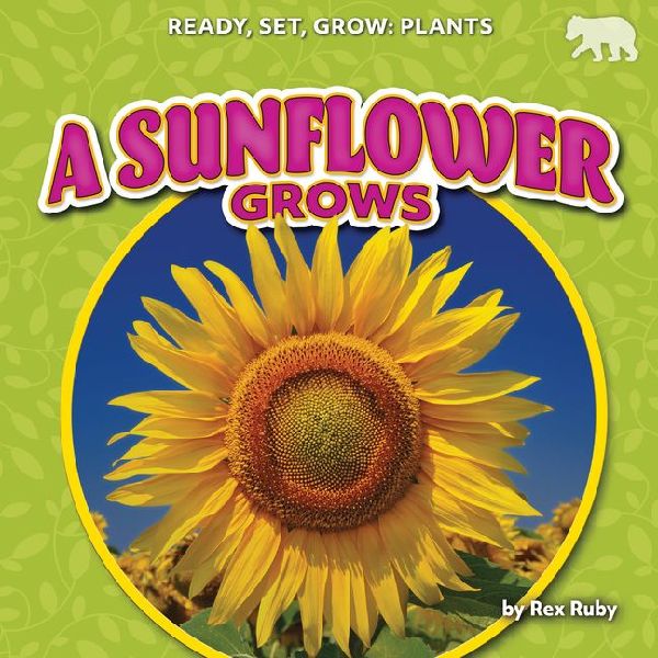 A Sunflower Grows