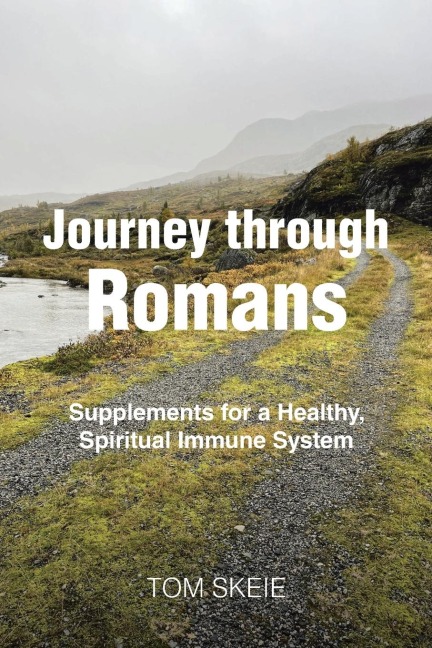 Journey through Romans: Supplements for a Healthy, Spiritual Immune System