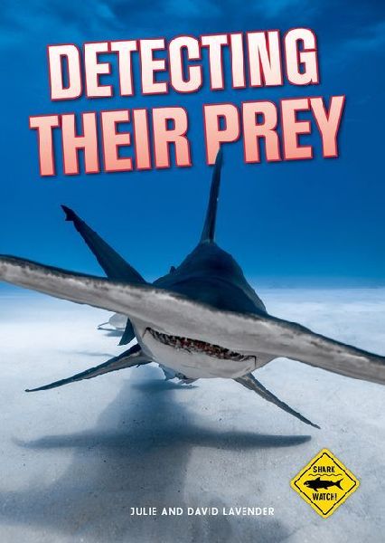 Shark Watch!: Detecting Their Prey