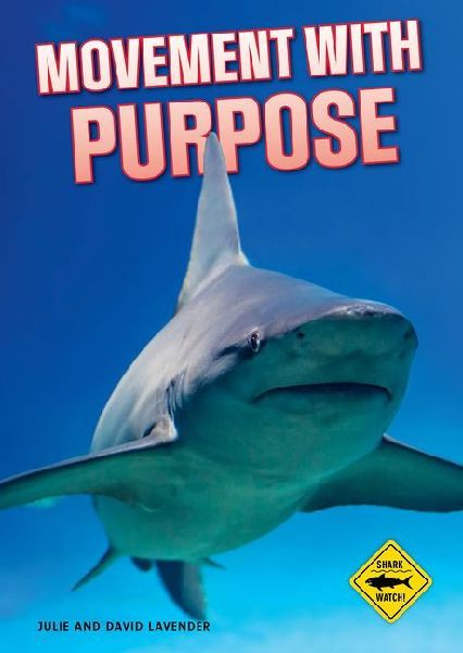 Shark Watch!: Movement with Purpose