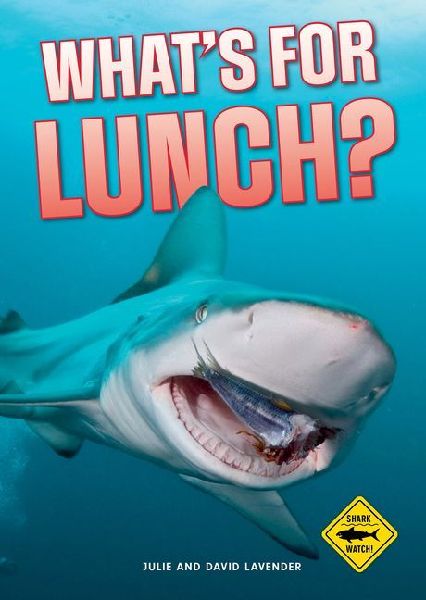Shark Watch!: What's for Lunch?