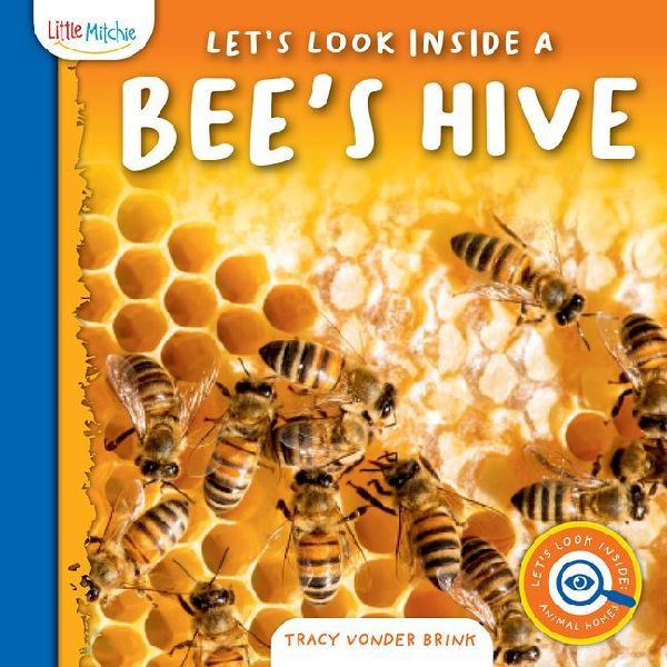 Let's Look Inside a Bee's Hive