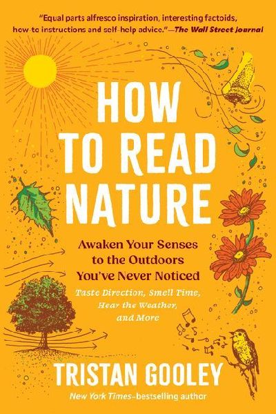 How to Read Nature: Awaken Your Senses to the Outdoors You've Never Noticed