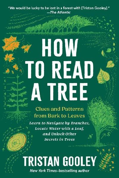 How to Read a Tree: Clues and Patterns from Bark to Leaves