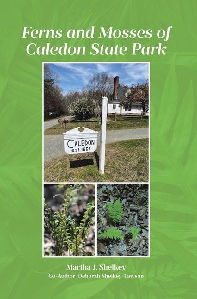 Ferns and Mosses of Caledon State Park
