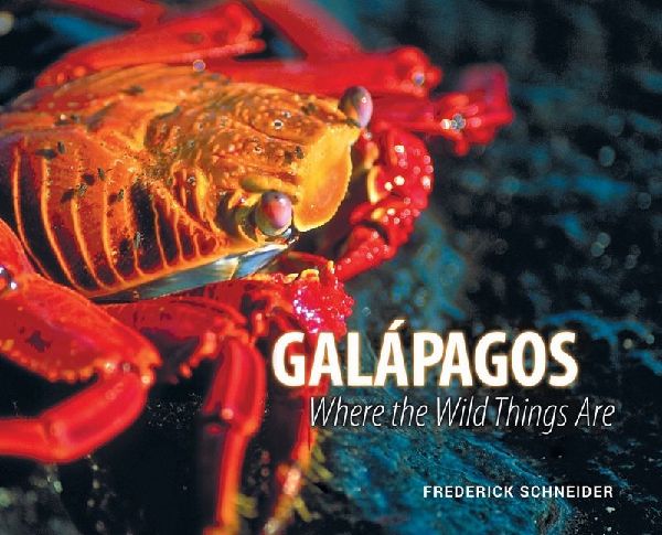 Galápagos: Where the Wild Things Are