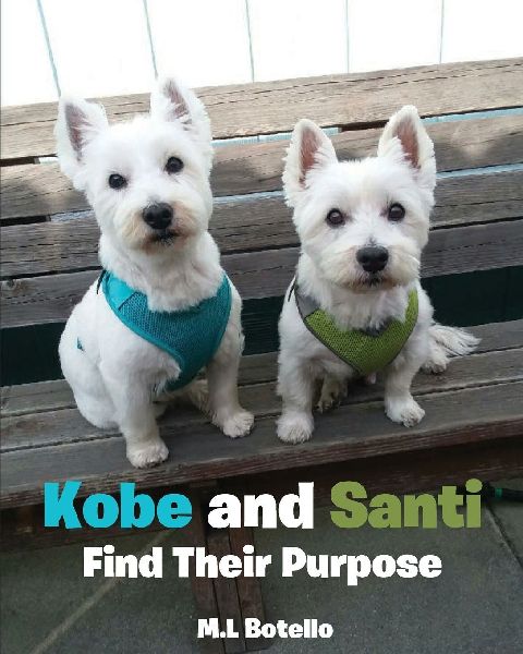 Kobe and Santi Find Their Purpose