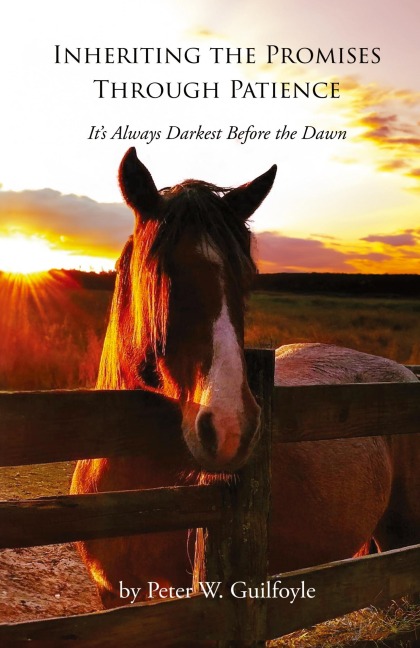 Inheriting the Promises Through Patience: It's Always Darkest Before the Dawn