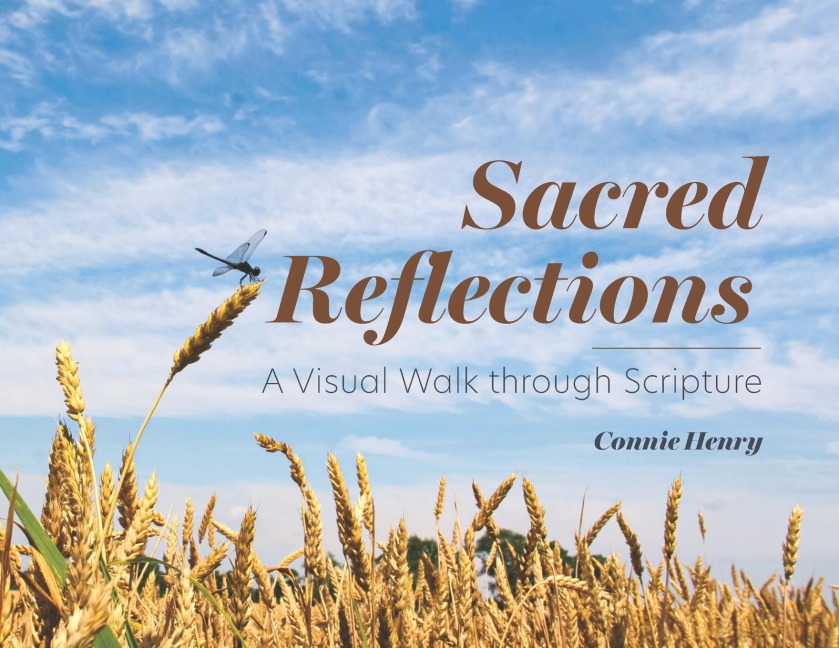 Sacred Reflections: A Visual Walk through Scripture