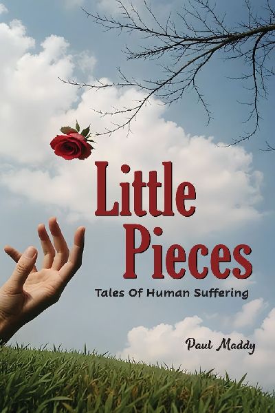 Little Pieces: Tales of Human Suffering