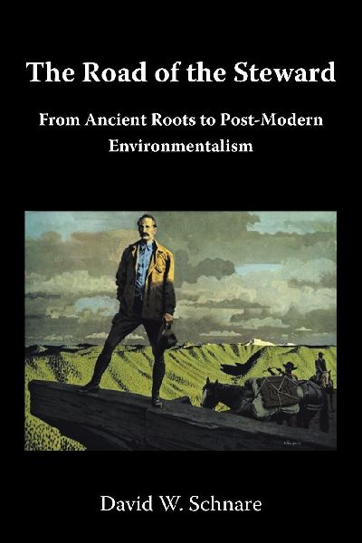 The Road of the Steward: From Ancient Roots to Post-Modern Environmentalism