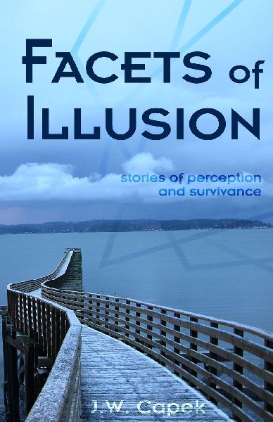Facets of Perception