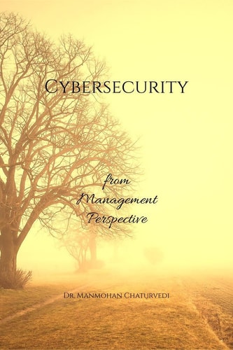 Cybersecurity From Management Perspective
