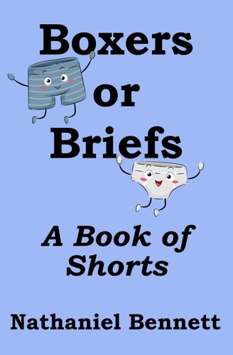 Boxers Or Briefs A Book of Shorts
