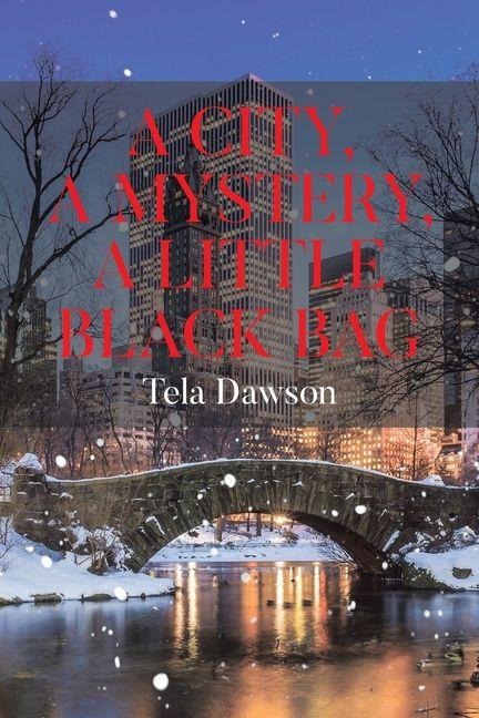A City, a Mystery, a Little Black Bag