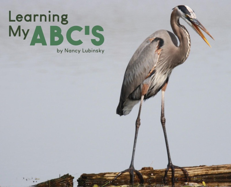 Learning My ABCs