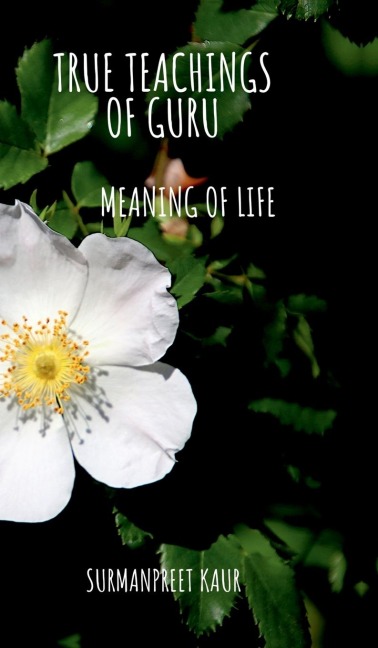 True Teachings of Guru: Meaning of Life