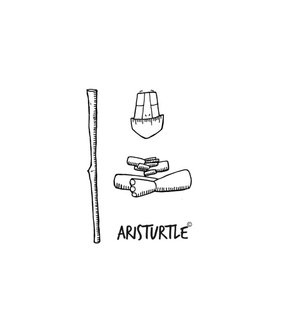 Aristurtle