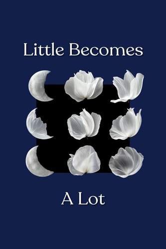Little Becomes A Lot
