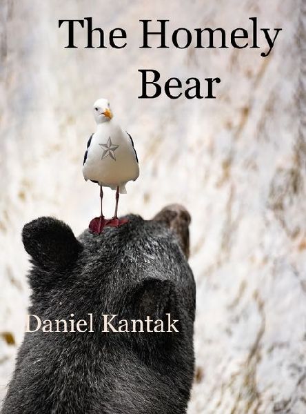 The Homely Bear
