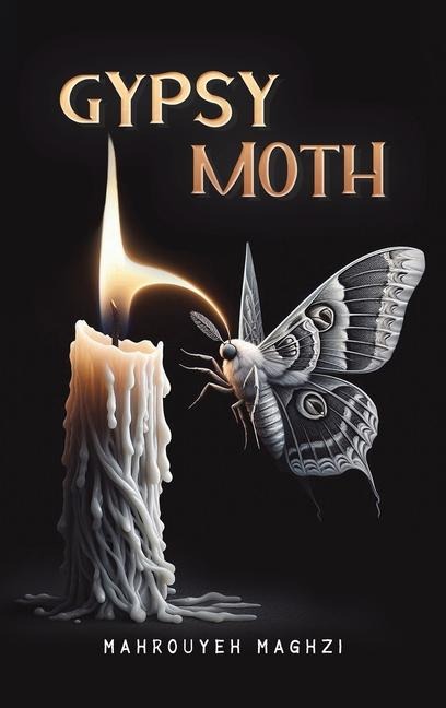 Gypsy Moth