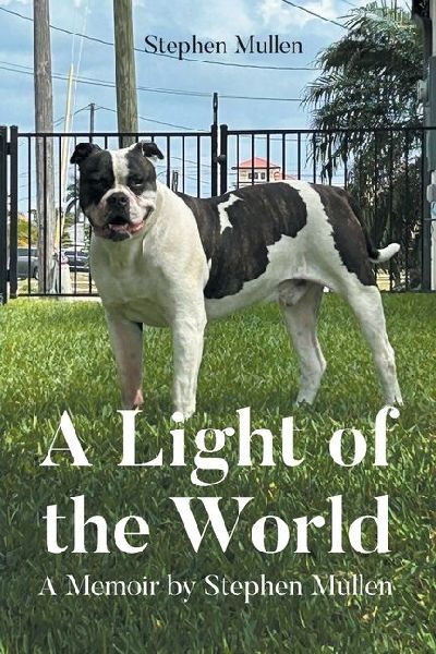 A Light of the World: A Memoir by Stephen Mullen