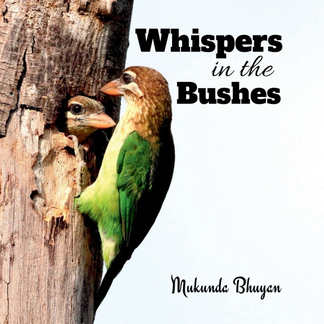 Whispers in the bushes: Capturing the quiet and enchanting moments of song birds amidst the foliage ...
