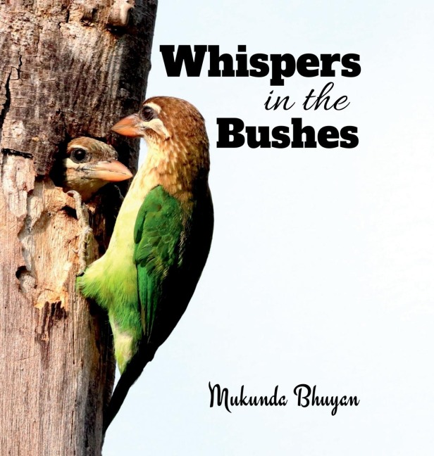 Whispers in the bushes: Capturing the quiet and enchanting moments of song birds amidst the foliage ...