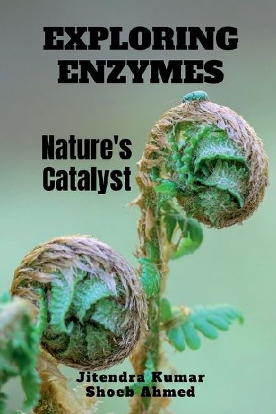 Exploring Enzymes: Natures Catalyst