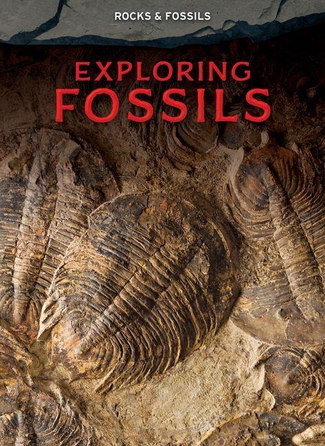 Exploring Fossils