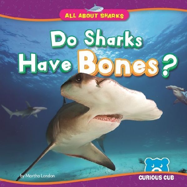 Do Sharks Have Bones?
