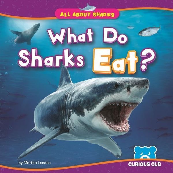 What Do Sharks Eat?