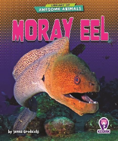 Moray Eel