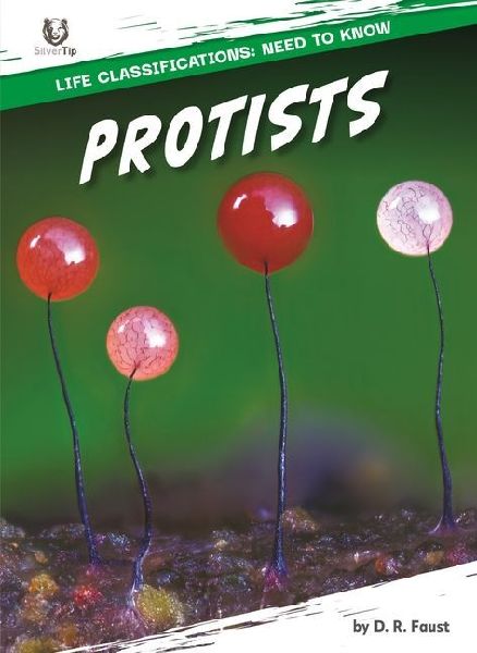 Protists