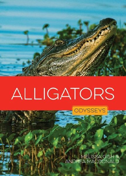 Alligators