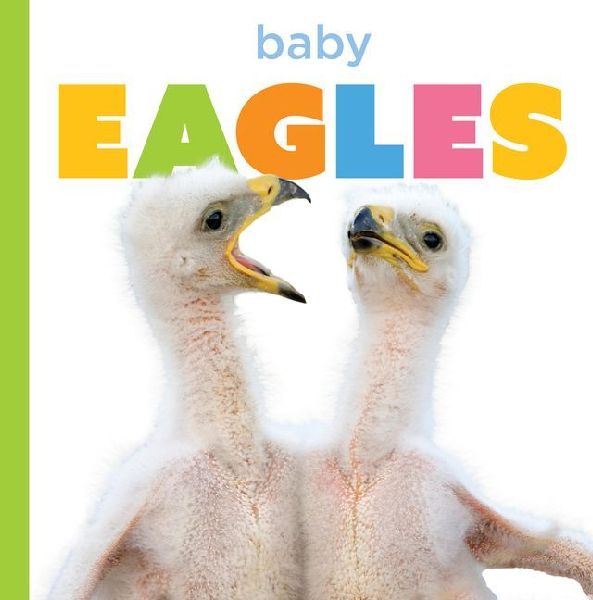 Baby Eagles