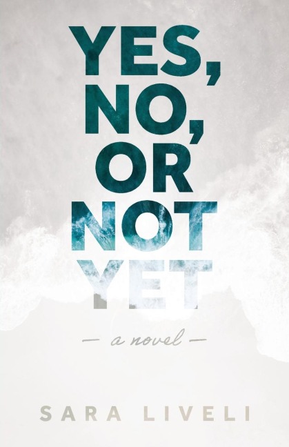 Yes, No, Or Not Yet: A Novel