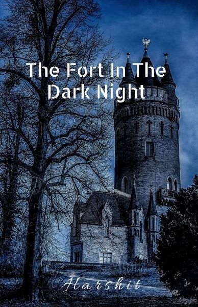 The Fort In The Dark Night