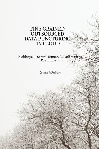 Fine Grained Outsourced Data Puncturing in Cloud: Data Deletion