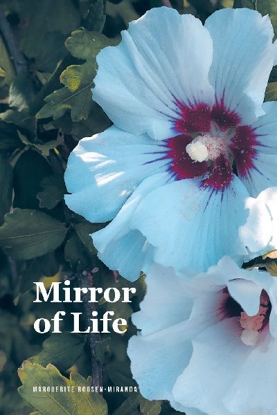 Mirror of Life
