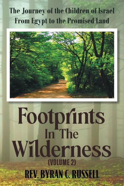 Footprints in the Wilderness (Volume 2): The Journey of the Children of Israel From Egypt to the Promised Land