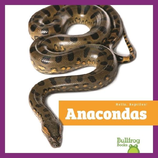 Anacondas