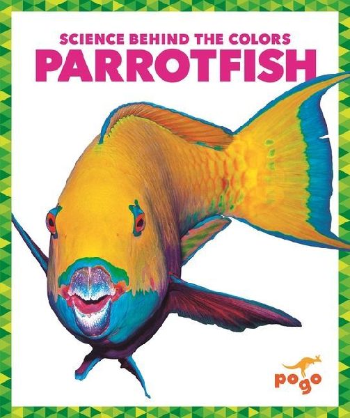Parrotfish
