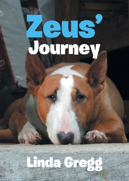 Zeus Journey