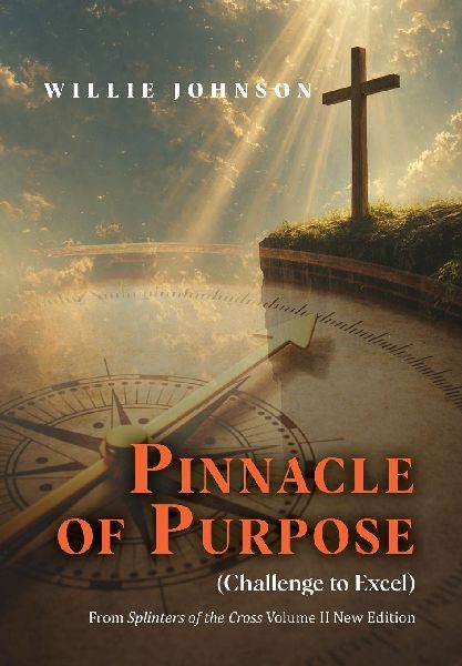 Pinnacle of Purpose (Challenge to Excel)