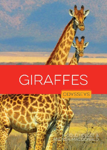 Giraffes