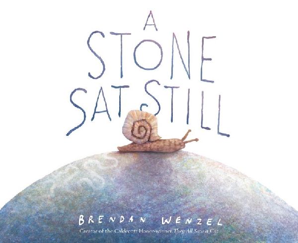 A Stone SAT Still