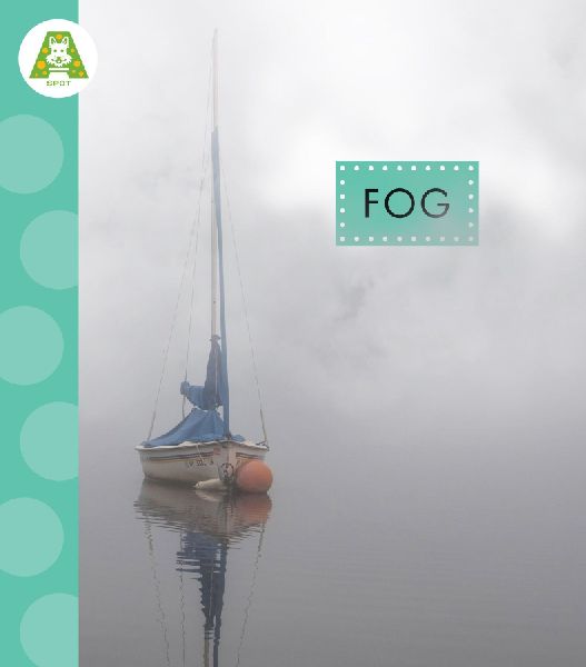 Fog