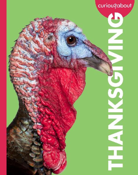 Curious about Thanksgiving